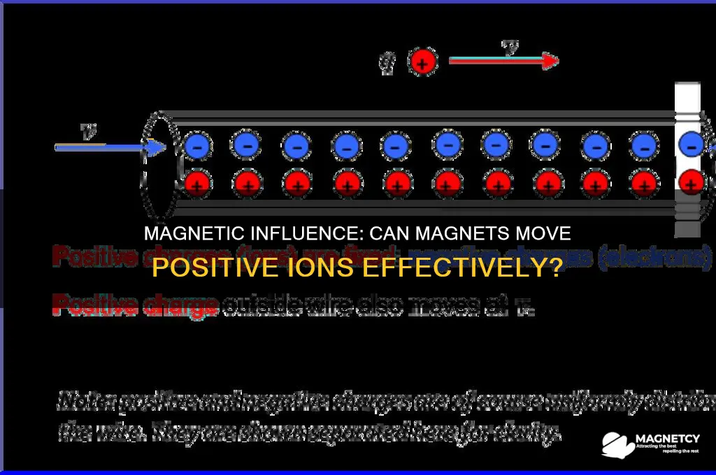 can magnets move positive ions