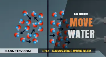 Magnets and Water: Exploring the Science Behind Their Interaction