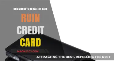 Magnets on Wallet Cases: Do They Damage Credit Cards?