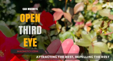 Magnets and the Third Eye: Unlocking Spiritual Awareness or Myth?