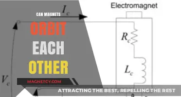 Can Magnets Orbit Each Other? Exploring Magnetic Levitation Dynamics