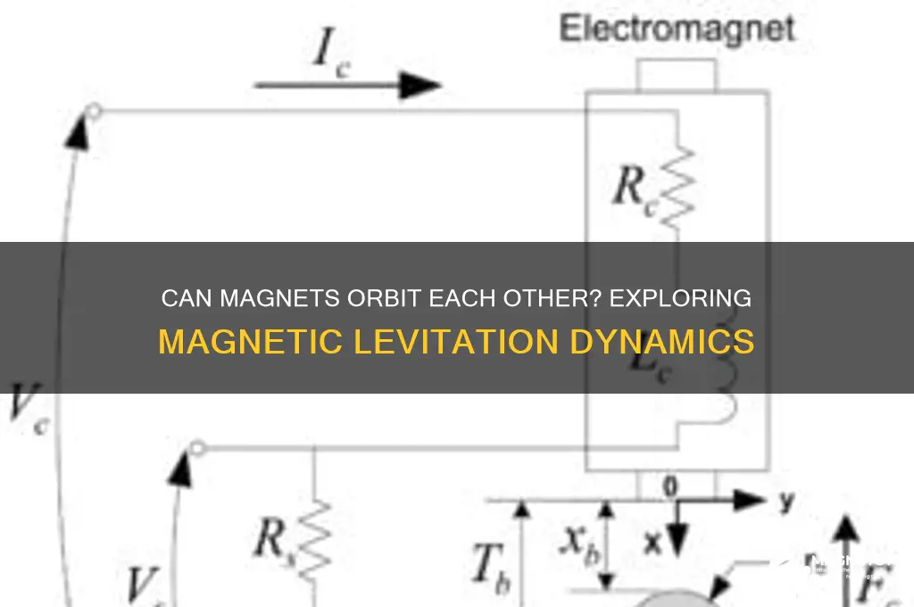 can magnets orbit each other