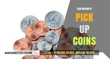 Can Magnets Pick Up Coins? Exploring Magnetic Properties of Currency