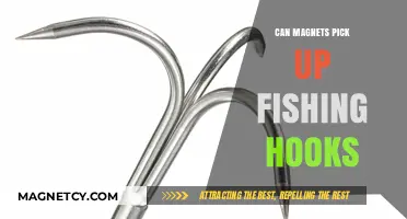 Magnets and Fishing Hooks: Can They Attract Each Other?