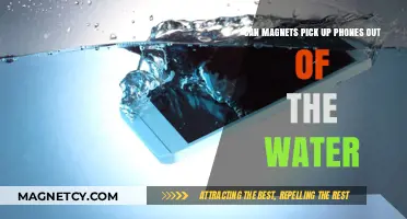 Can Magnets Rescue Phones Submerged in Water? Find Out Here