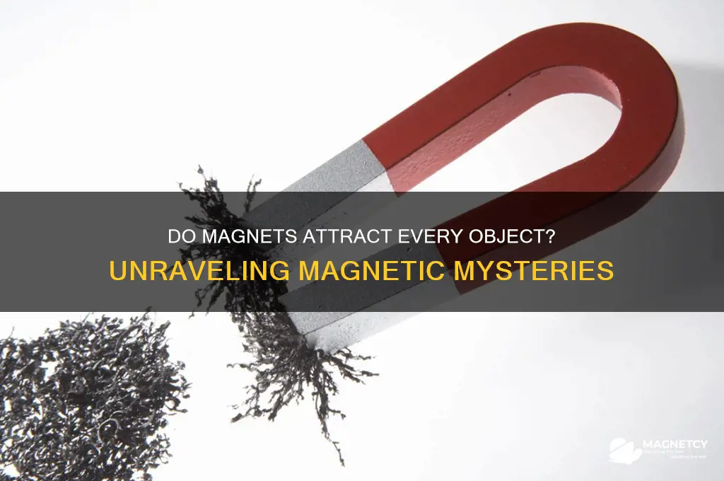 can magnets pull on very object