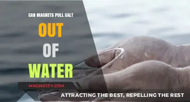 Magnets and Salt: Can Magnetic Force Extract Salt from Water?