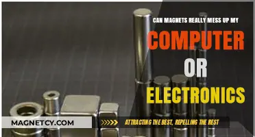 Magnets and Electronics: Debunking Myths About Damage Risks