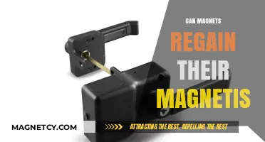 Reviving Lost Magnetism: Can Magnets Regain Their Magnetic Power?