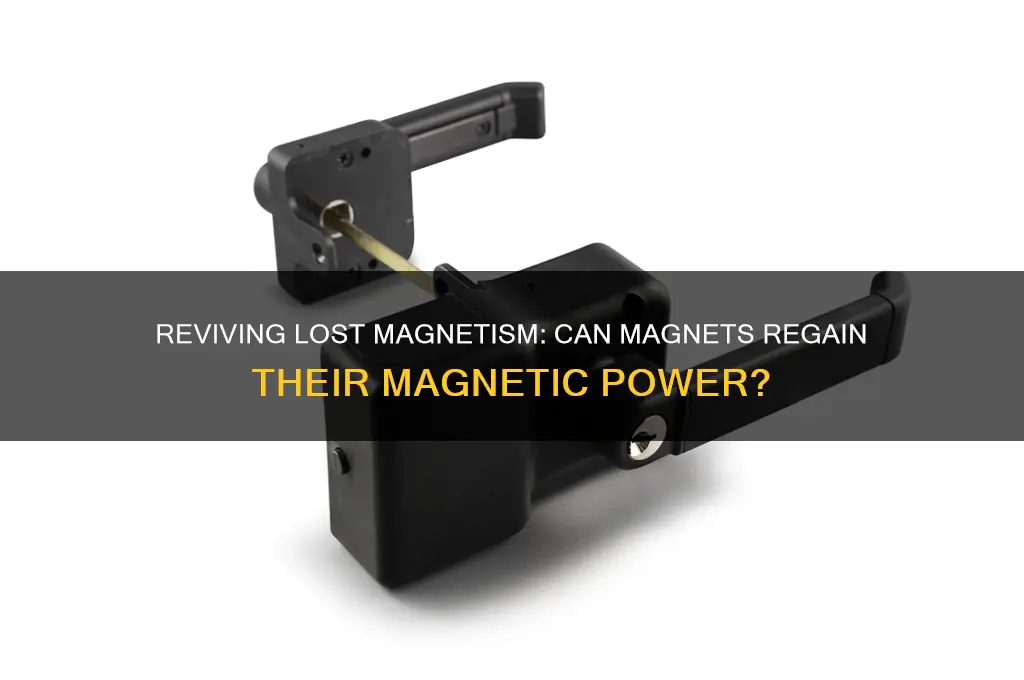can magnets regain their magnetism