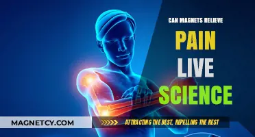 Magnetic Pain Relief: Science Behind Its Effectiveness Explained