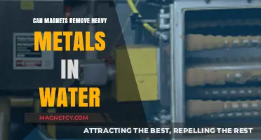 Magnetic Solutions: Can Magnets Effectively Remove Heavy Metals from Water?