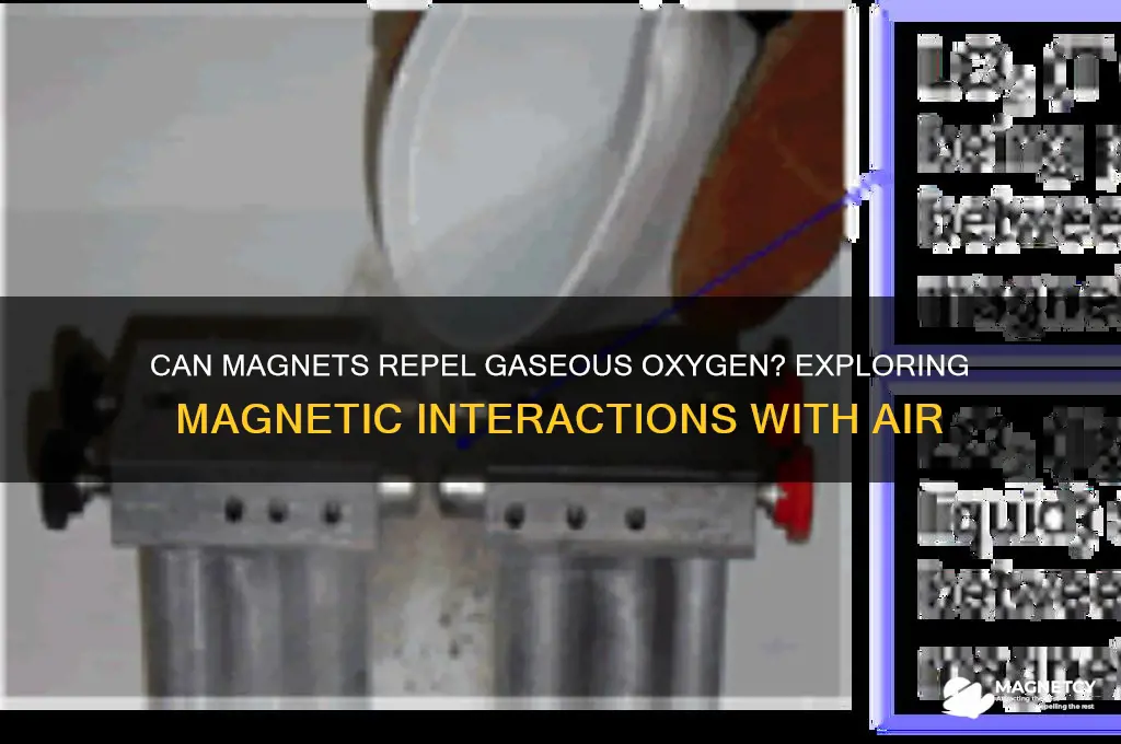 can magnets repel gasuos oxygen