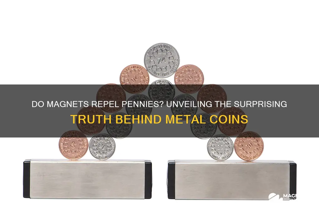 can magnets repel pennies