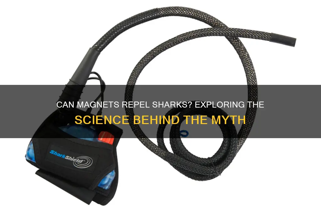 can magnets repel sharks