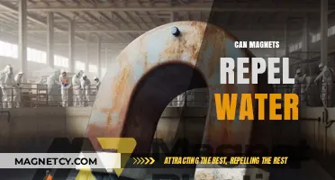 Can Magnets Repel Water? Exploring the Science Behind the Myth