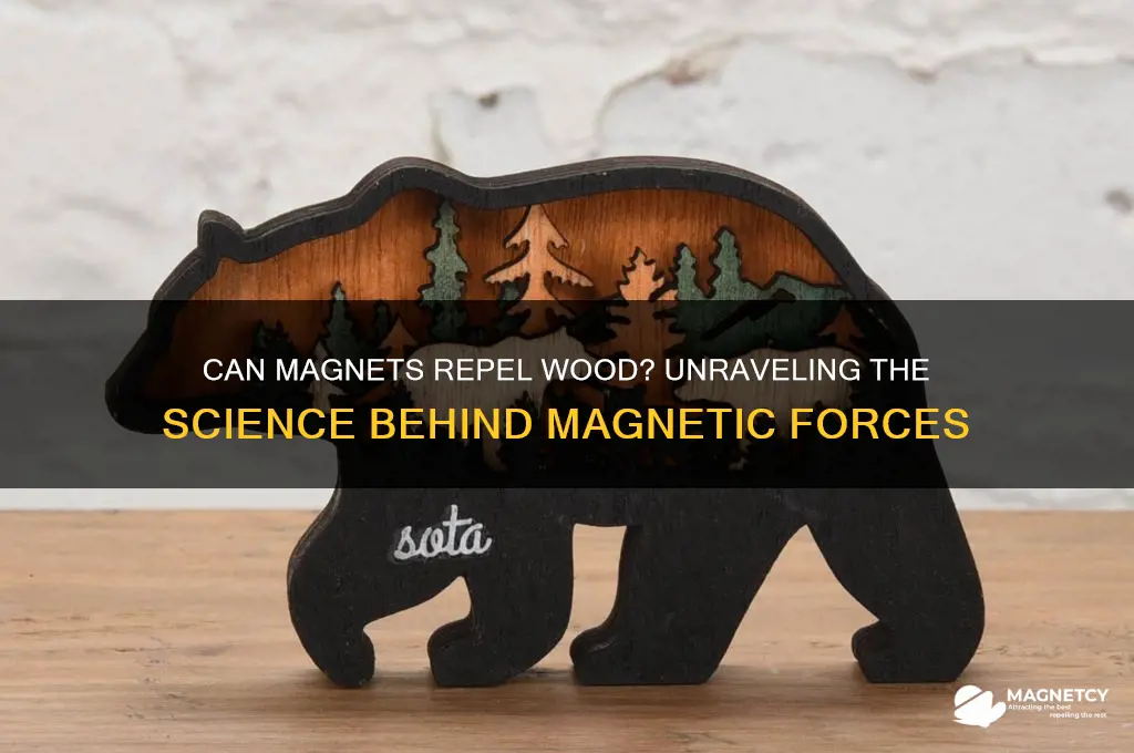 can magnets repel wood