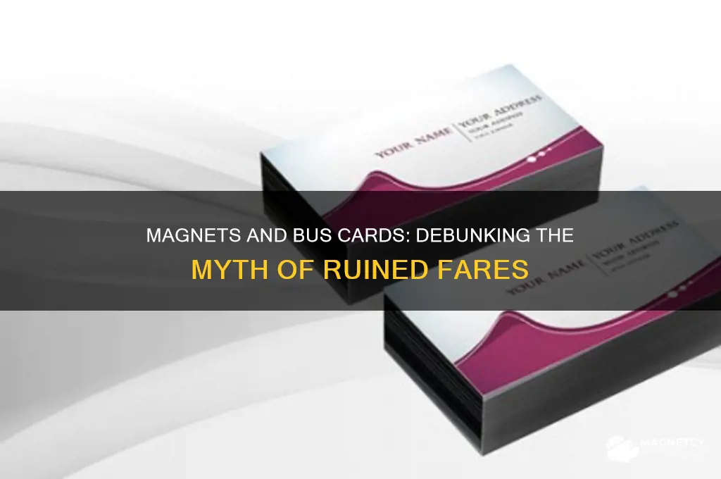 can magnets ruin bus card