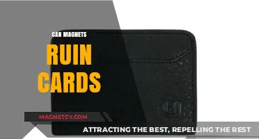 Magnets and Cards: Debunking Myths About Damage and Safety