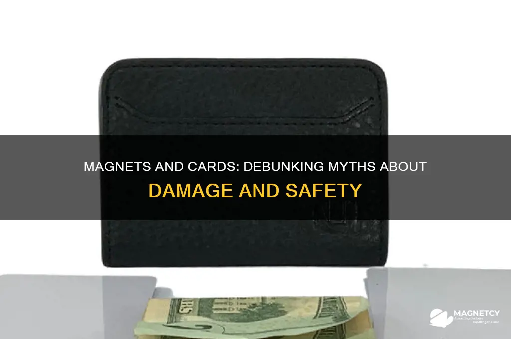 can magnets ruin cards