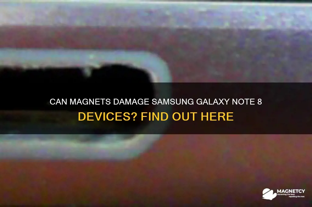 can magnets ruin note 8s