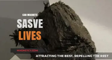 Magnetic Innovations: How Magnets Are Revolutionizing Life-Saving Technologies