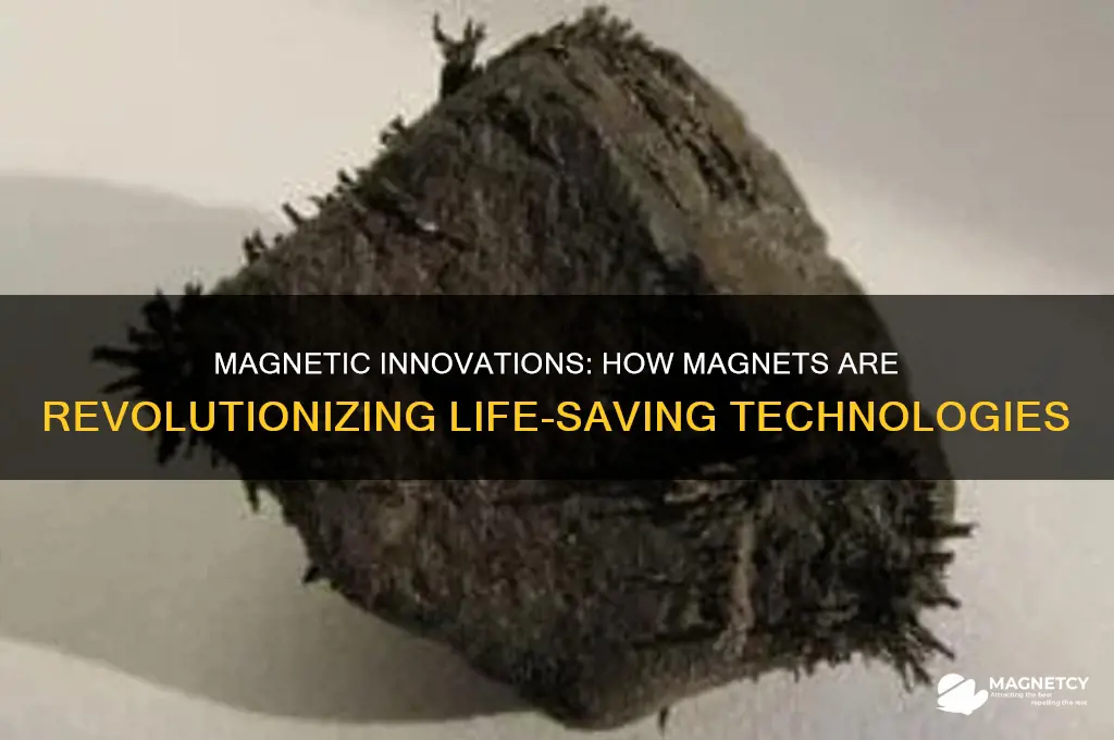 can magnets sasve lives