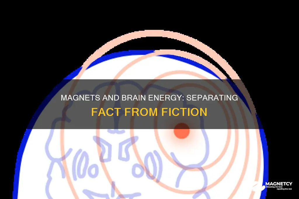 can magnets steal your brain energy