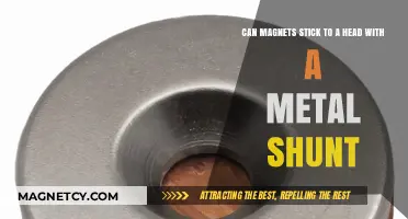 Metal Shunt Heads: Can Magnets Stick? Exploring the Science