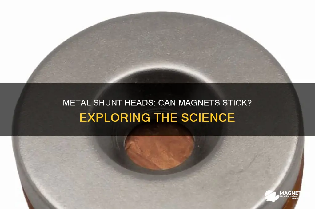 can magnets stick to a head with a metal shunt