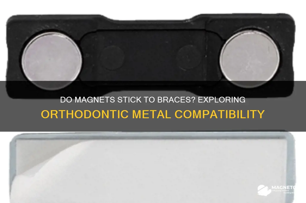 can magnets stick to braces