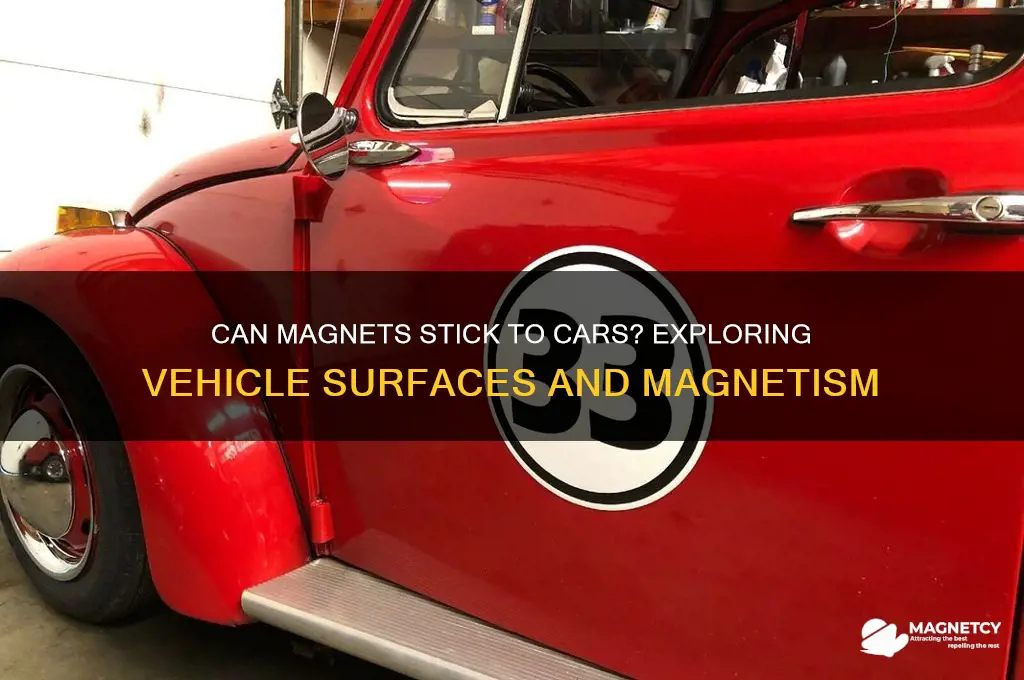 can magnets stick to cars