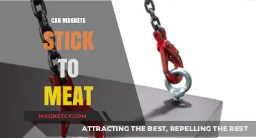 Can Magnets Stick to Meat? Unraveling the Surprising Science Behind It