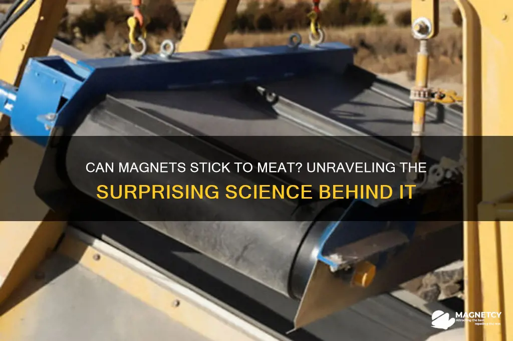 can magnets stick to meat