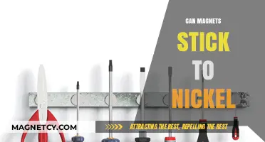 Can Magnets Stick to Nickel? Exploring Magnetic Properties and Compatibility