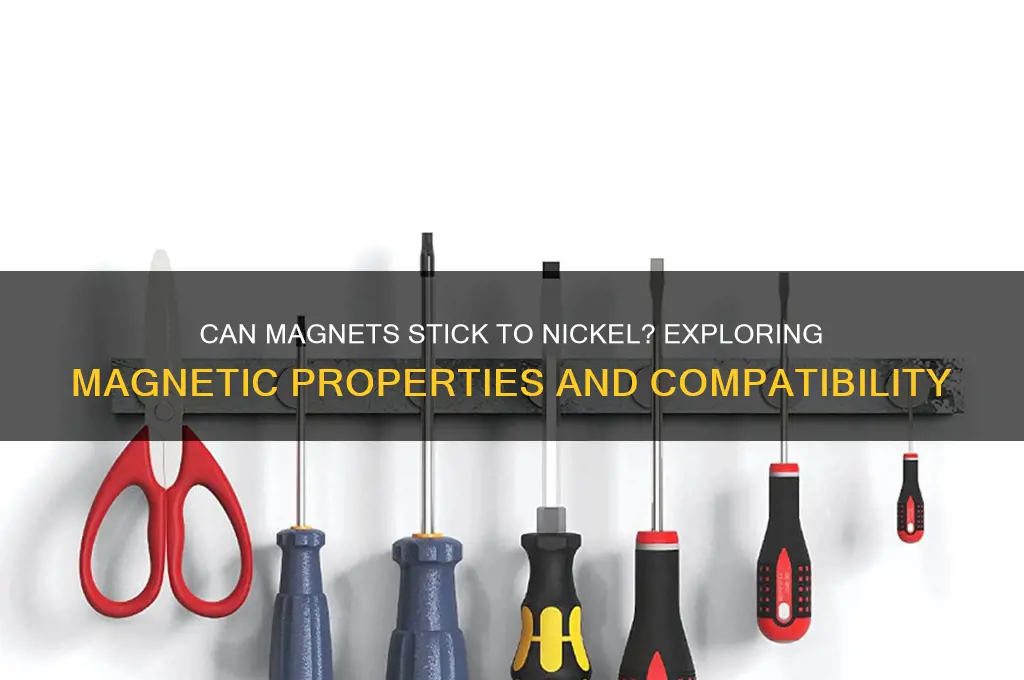 can magnets stick to nickel