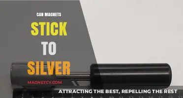 Can Magnets Stick to Silver? Unveiling the Truth Behind the Myth
