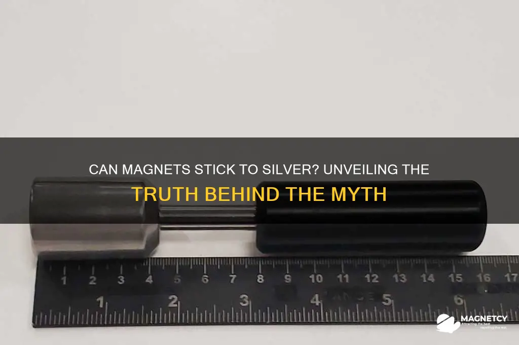 can magnets stick to silver