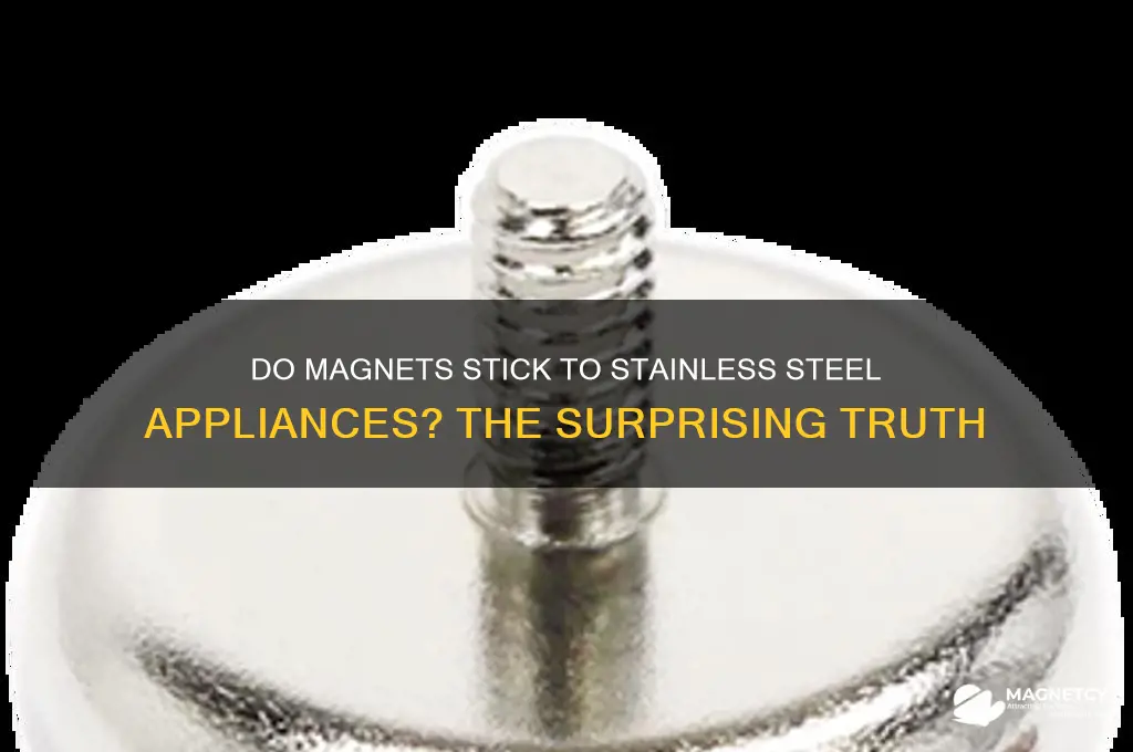 can magnets stick to stainless steel appliances