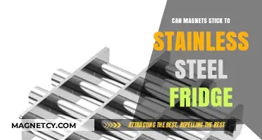 Do Magnets Stick to Stainless Steel Fridges? Here's the Answer