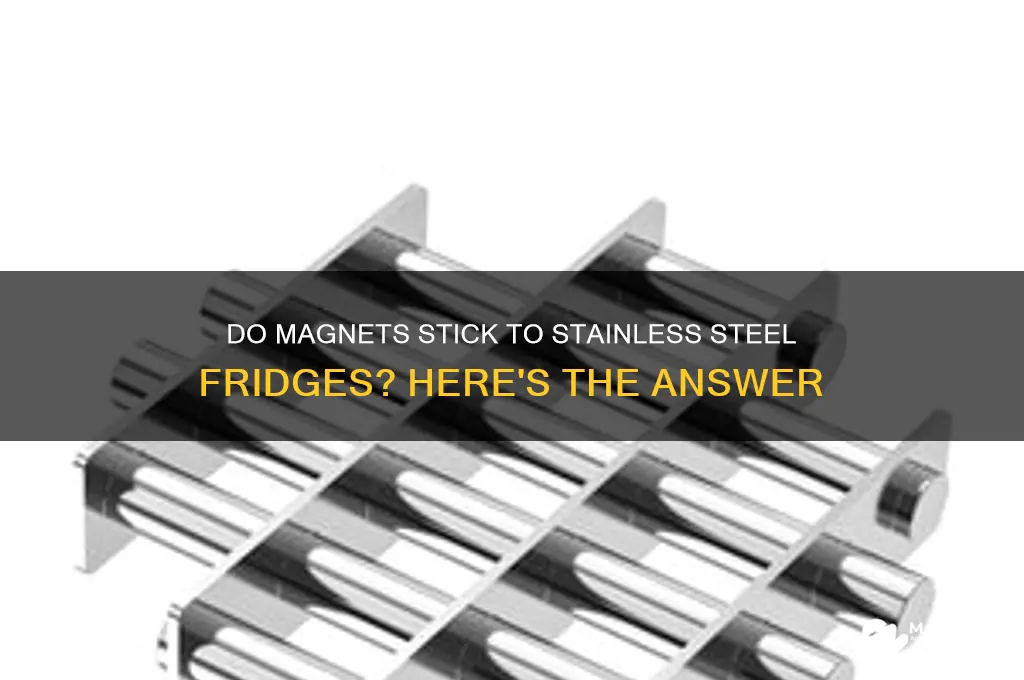 can magnets stick to stainless steel fridge