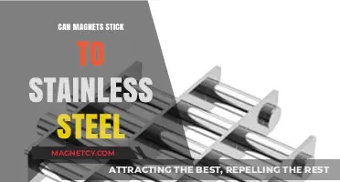 Can Magnets Stick to Stainless Steel? Unraveling the Mystery