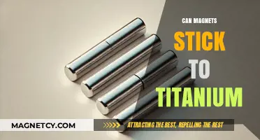 Can Magnets Stick to Titanium? Exploring Magnetic Properties of Titanium