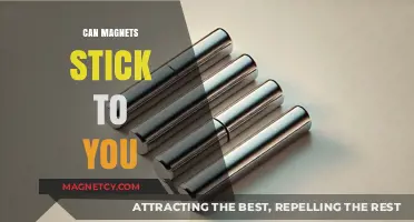 Can Magnets Stick to Your Body? Debunking Myths and Facts