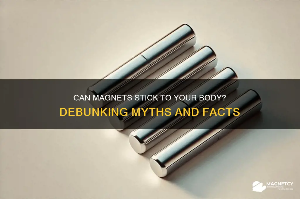 can magnets stick to you