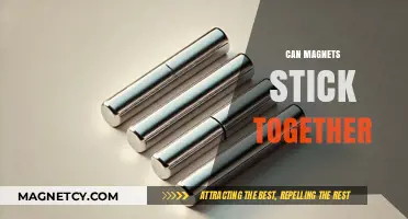 Can Magnets Stick Together? Exploring Magnetic Attraction and Repulsion
