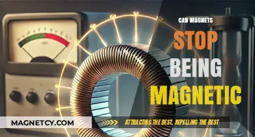 Do Magnets Lose Their Magnetism Over Time? Exploring Demagnetization