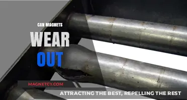 Do Magnets Lose Their Strength Over Time? The Truth Revealed