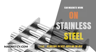 Do Magnets Stick to Stainless Steel? Unraveling the Magnetic Mystery