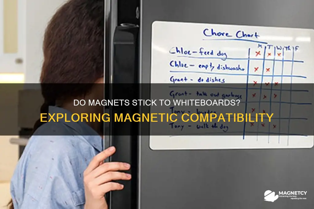 can magnets work on white boards